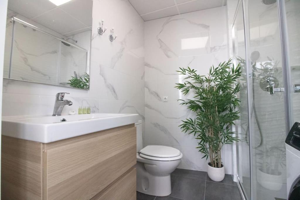 Trinidad Apartment Малага Экстерьер фото
