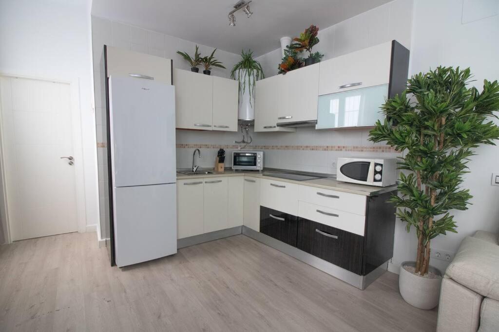 Trinidad Apartment Малага Экстерьер фото
